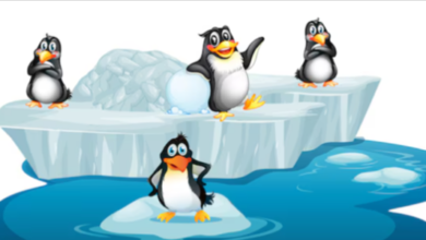 Clipart:Jekijno3fei= Penguins