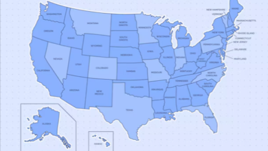 Labeled:Uj3t4zt70_Q= States Map