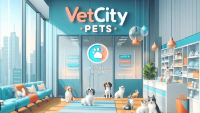 Ветеринарная Клиника VetCityPets