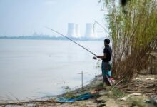 industry growth analysis report