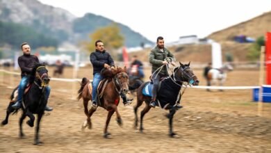 competitive landscape analysis report