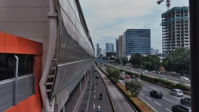 expansion metrics data summary