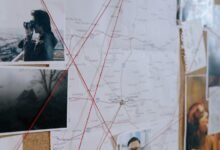 sector analysis and findings